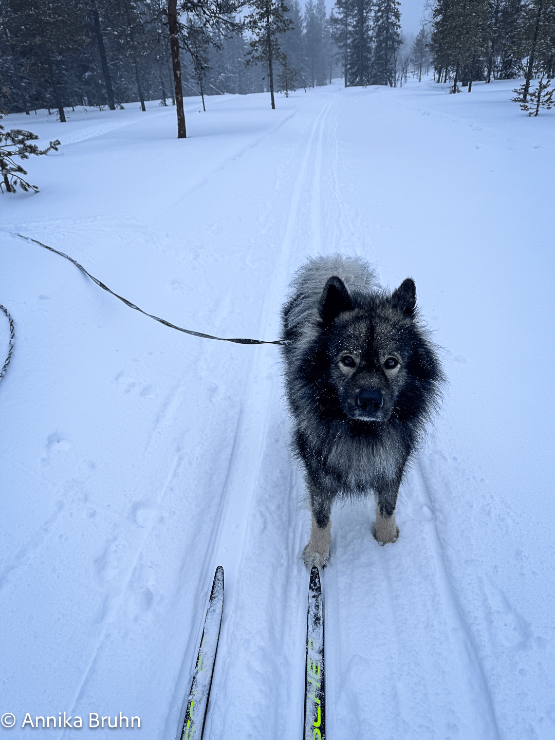 Mama ich hab keine Lust
